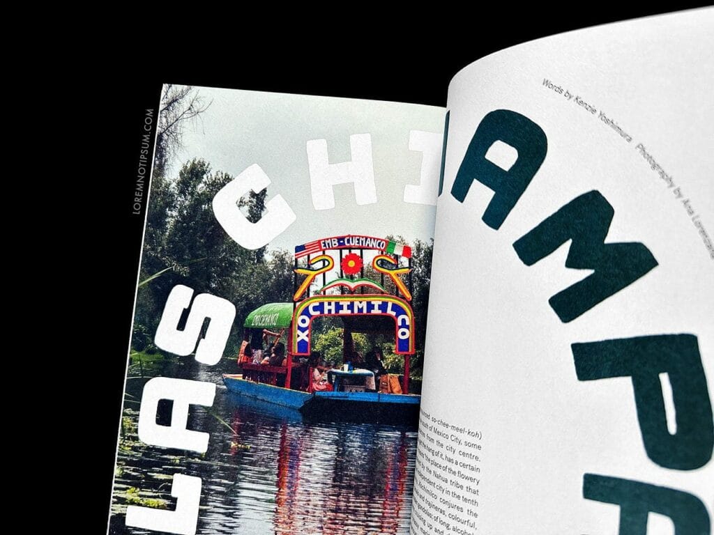 Fare Magazine Issue 14 (Mexico City) – loremnotipsum.com