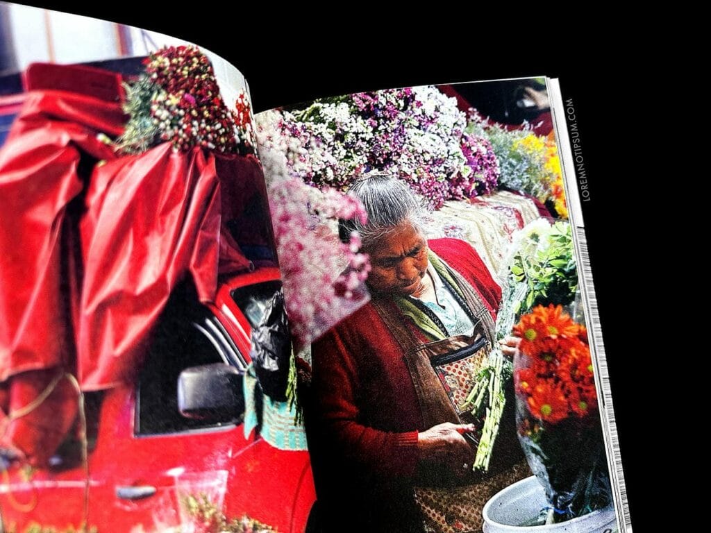 Fare Magazine Issue 14 (Mexico City) – loremnotipsum.com