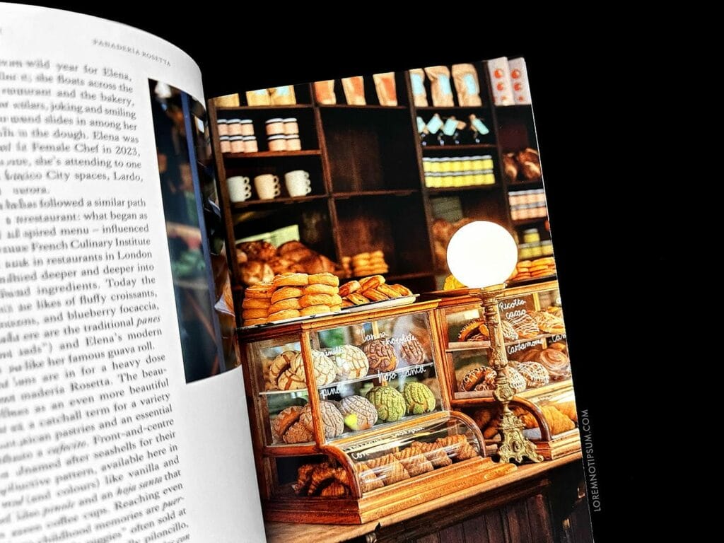 Fare Magazine Issue 14 (Mexico City) – loremnotipsum.com