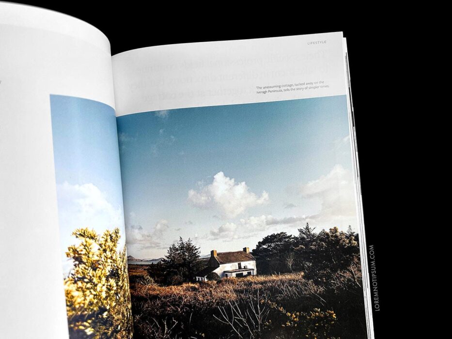 Anthology Magazine Volume 20 – loremnotipsum.com