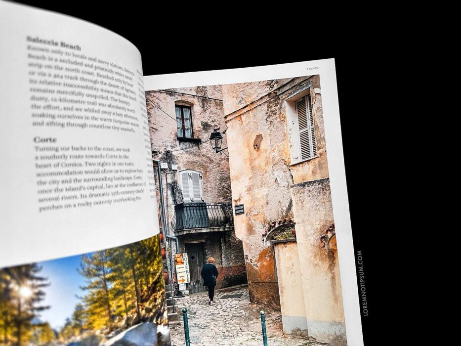 Anthology Magazine Volume 20 – loremnotipsum.com
