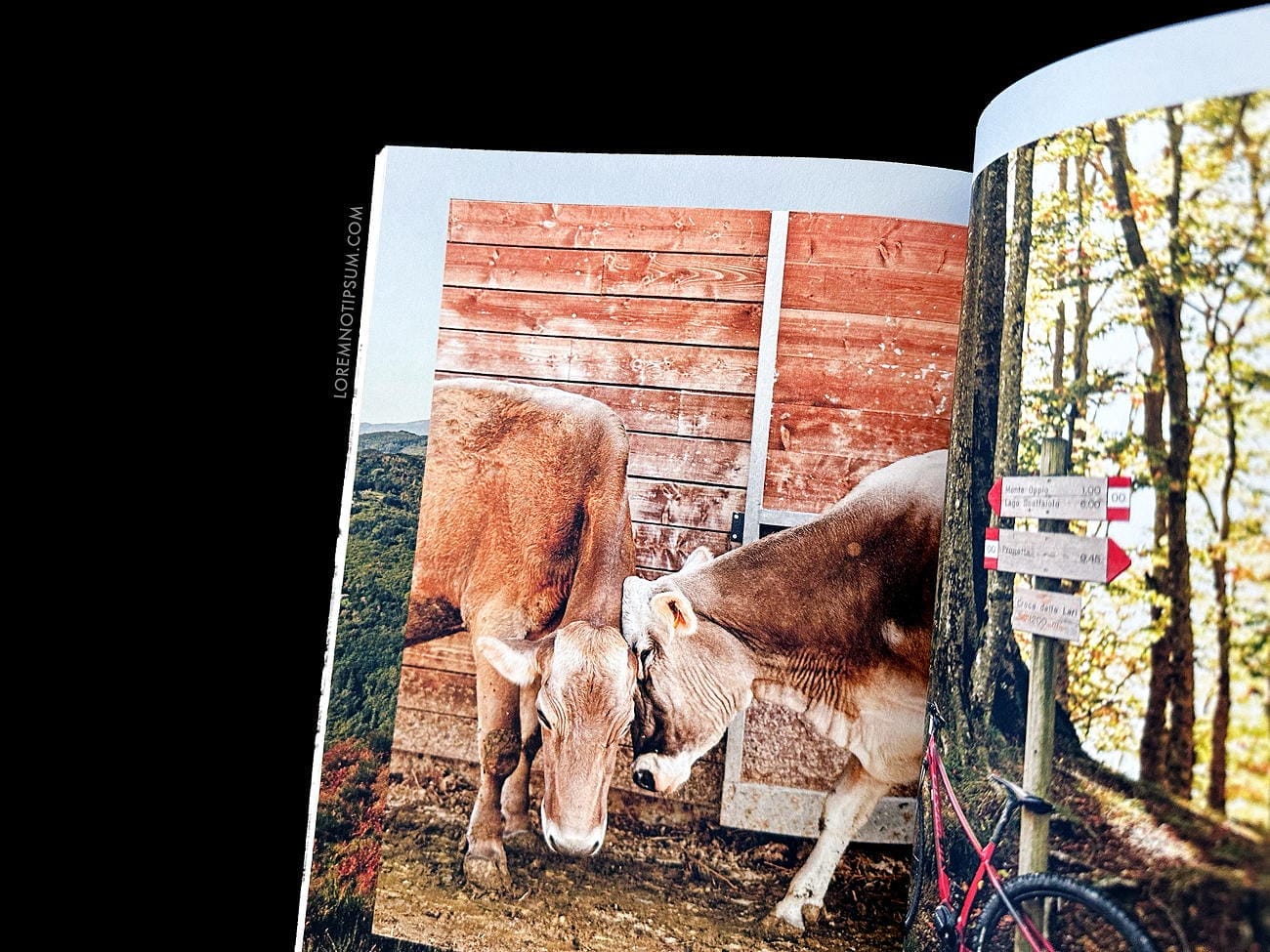 Lodestars Anthology Issue 4 (Italy, Revisited) – loremnotipsum.com