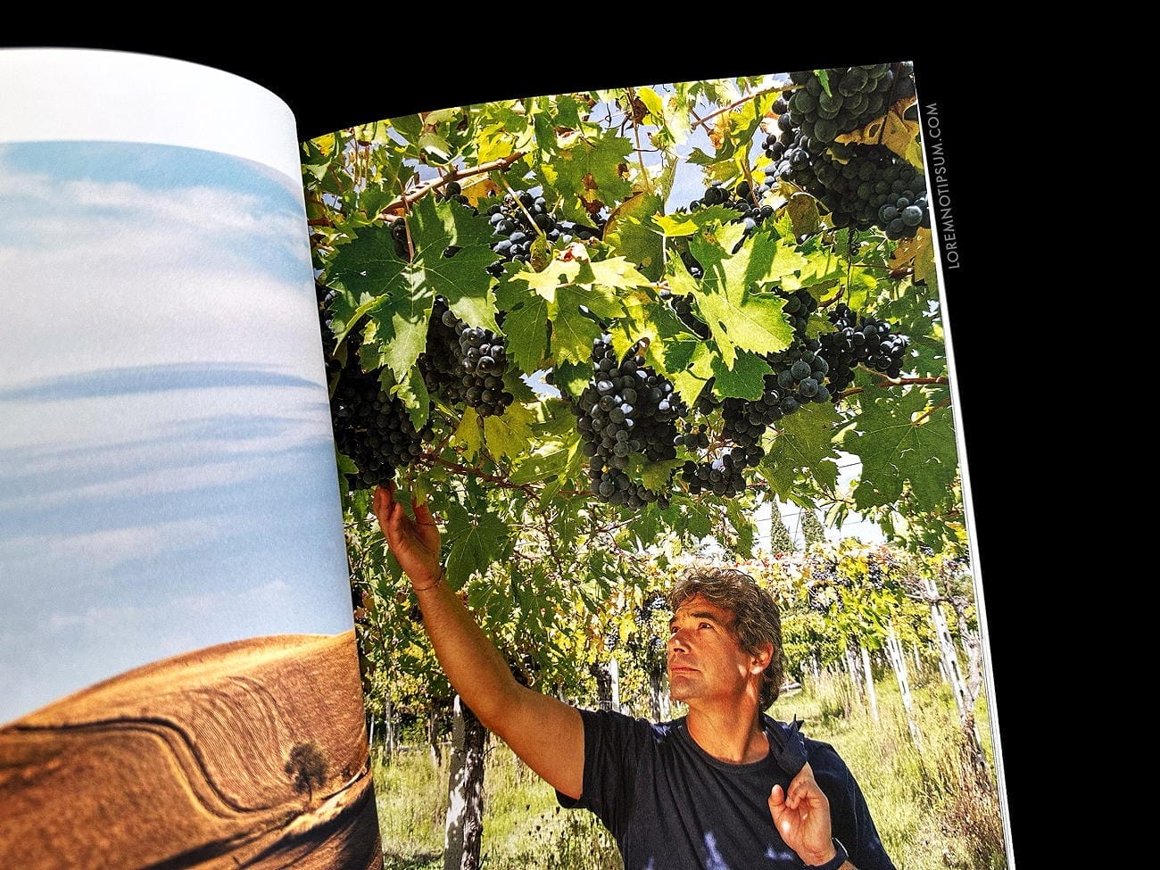 Lodestars Anthology Issue 4 (Italy, Revisited) – loremnotipsum.com