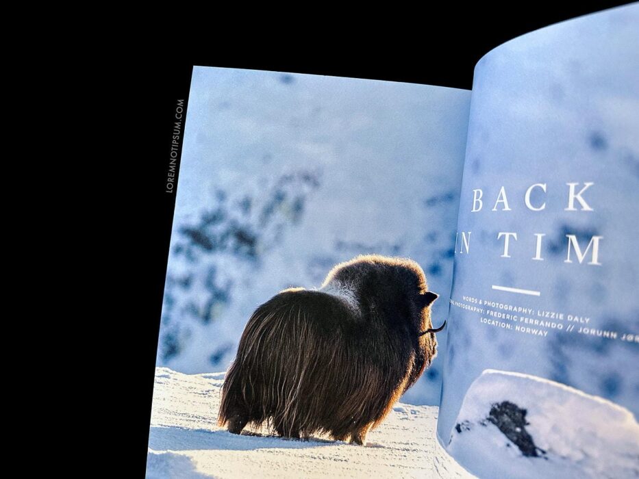 Sidetracked Magazine Issue 29 – loremnotipsum.com