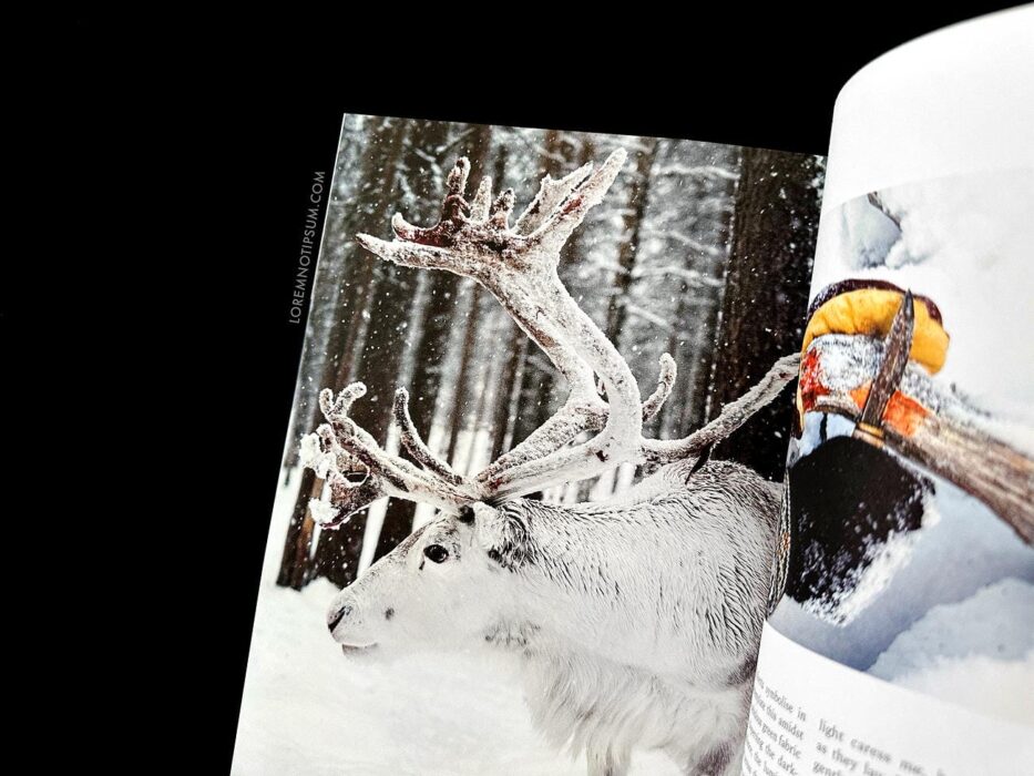 Sidetracked Magazine Issue 29 – loremnotipsum.com