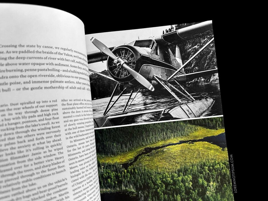 Sidetracked Magazine Issue 29 – loremnotipsum.com