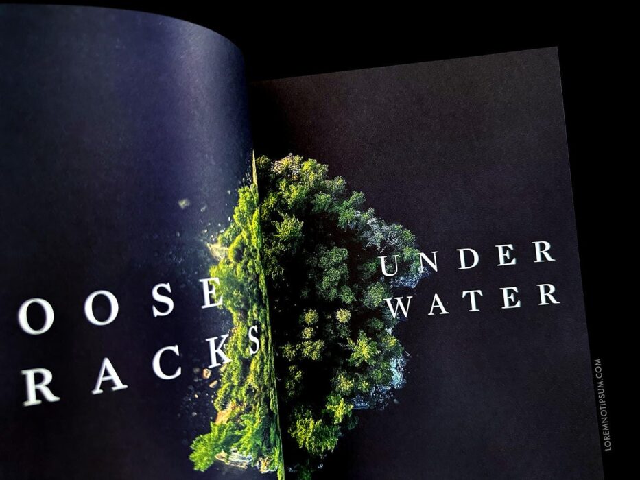 Sidetracked Magazine Issue 29 – loremnotipsum.com