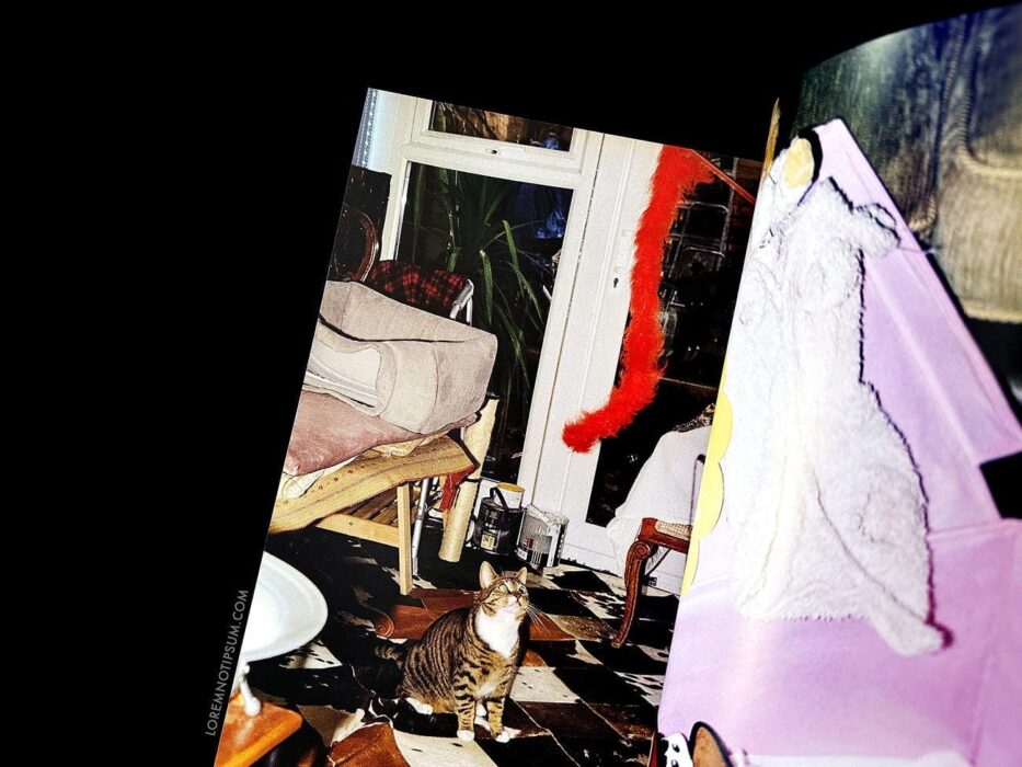 Catnip Magazine Volume 1 – loremnotipsum.com