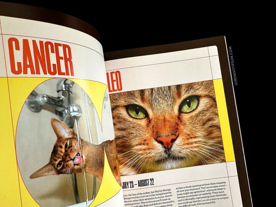 Catnip Magazine Volume 1 – loremnotipsum.com