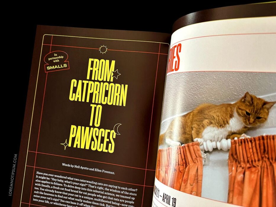 Catnip Magazine Volume 1 – loremnotipsum.com