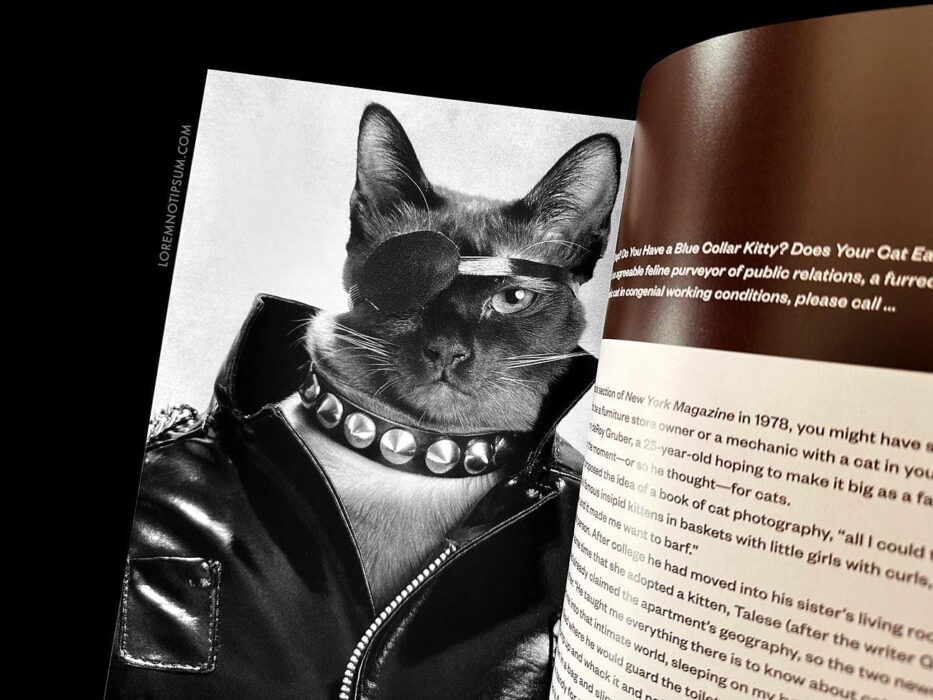 Catnip Magazine Volume 1 – loremnotipsum.com