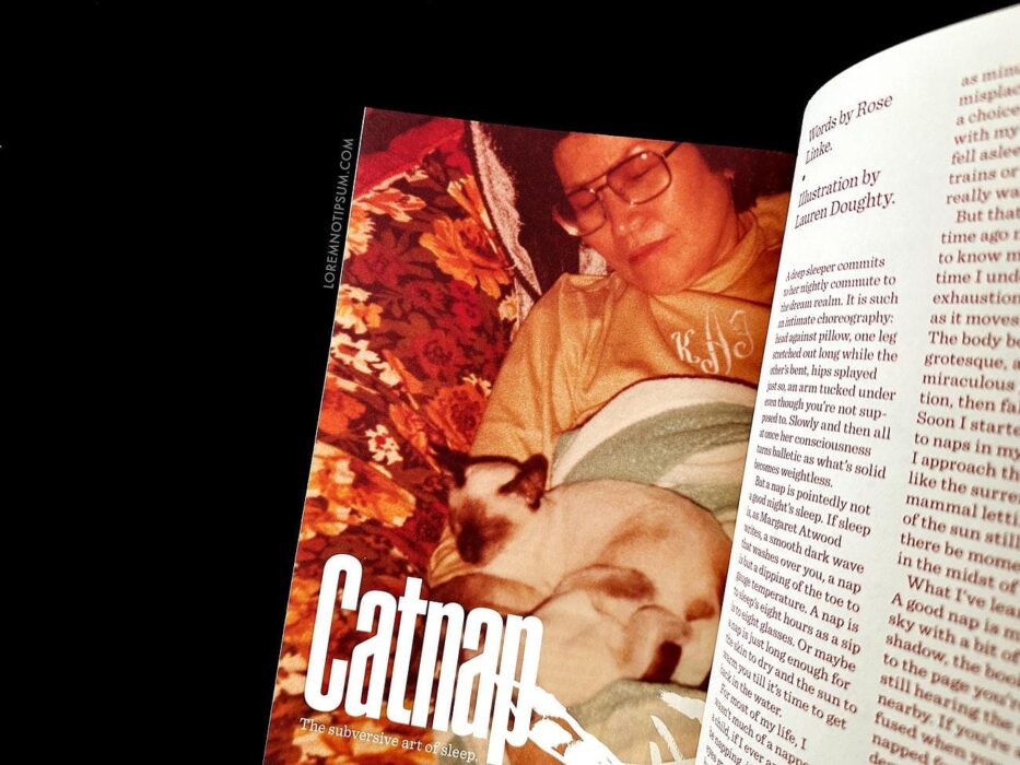 Catnip Magazine Volume 1 – loremnotipsum.com