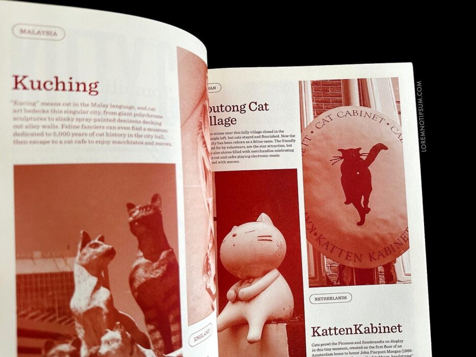Catnip Magazine Volume 1 – loremnotipsum.com