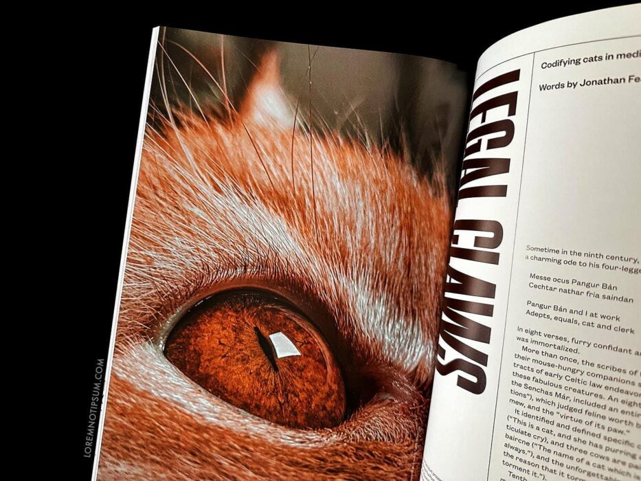 Catnip Magazine Volume 1 – loremnotipsum.com