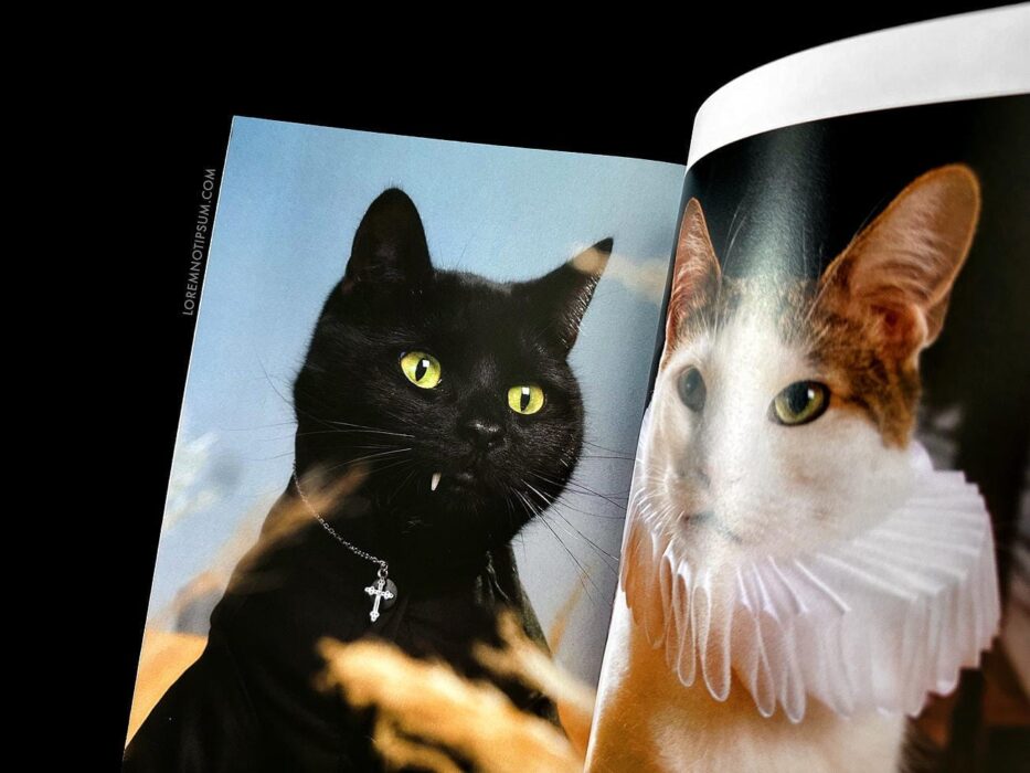 Catnip Magazine Volume 1 – loremnotipsum.com