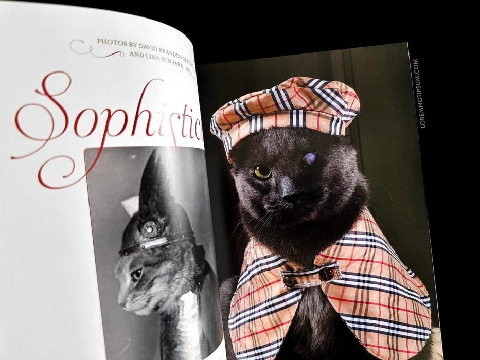Catnip Magazine Volume 1 – loremnotipsum.com