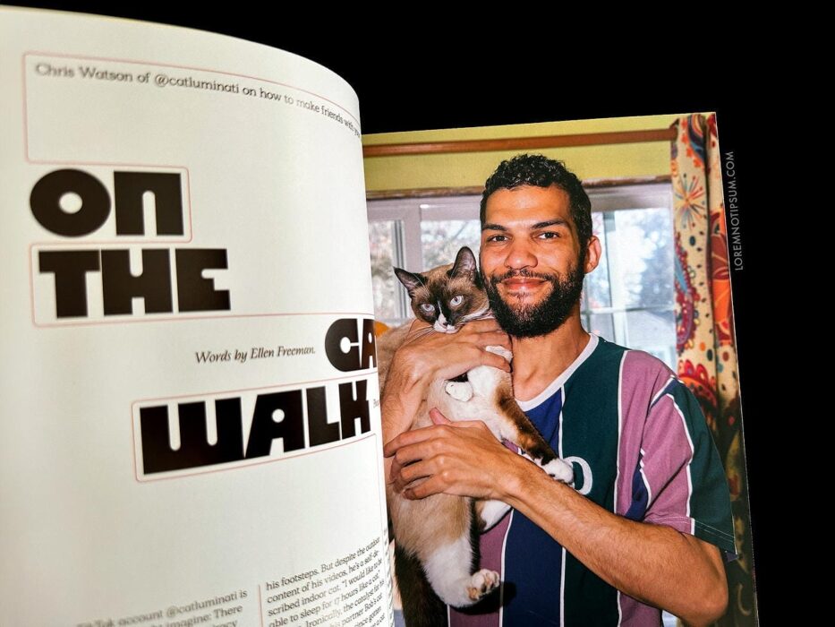 Catnip Magazine Volume 1 – loremnotipsum.com