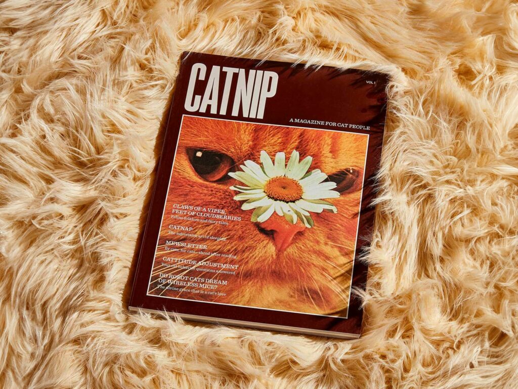 Catnip Magazine Volume 1 – loremnotipsum.com