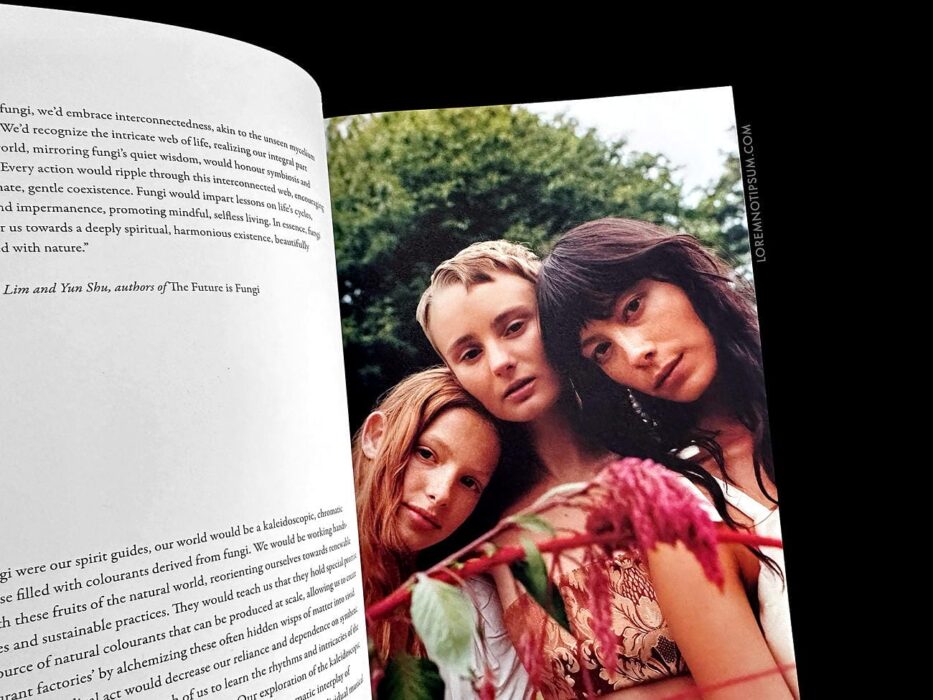 Lissome Magazine Issue 4 (Love Ethic) – loremnotipsum.com