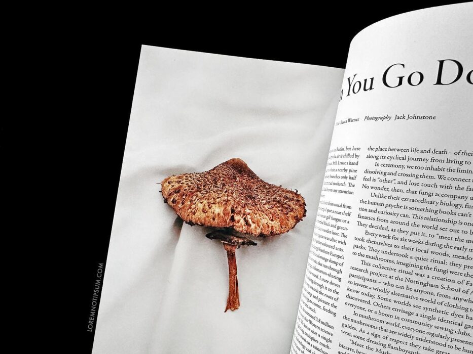 Lissome Magazine Issue 4 (Love Ethic) – loremnotipsum.com