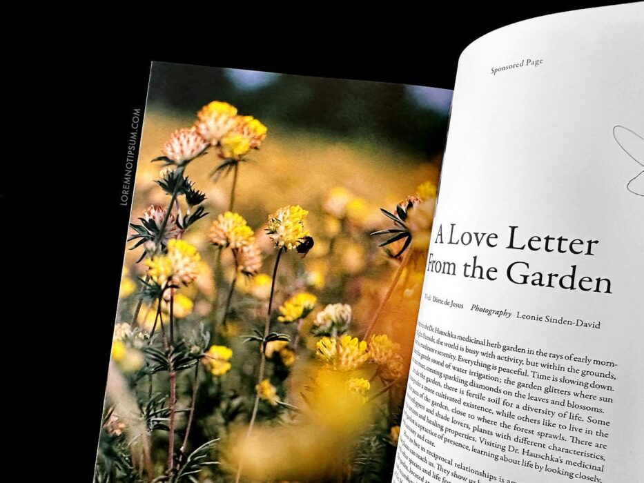 Lissome Magazine Issue 4 (Love Ethic) – loremnotipsum.com
