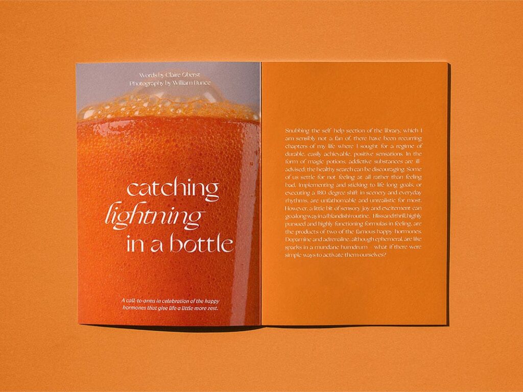 Sindroms Magazine Issue 8 (Orange) – loremnotipsum.com