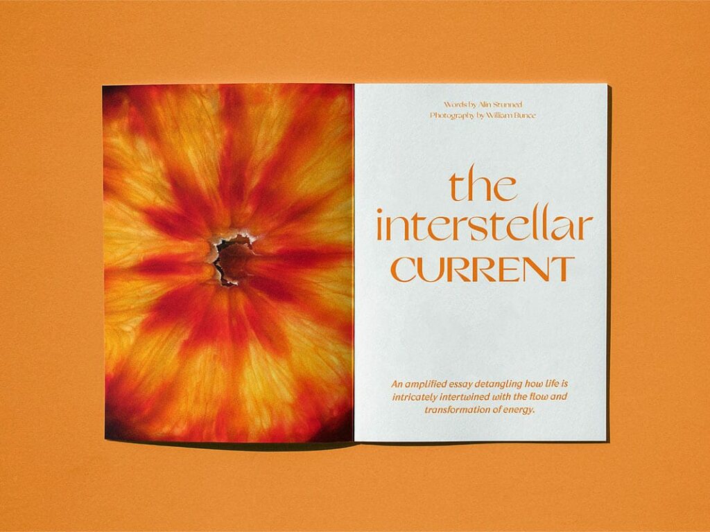Sindroms Magazine Issue 8 (Orange) – loremnotipsum.com