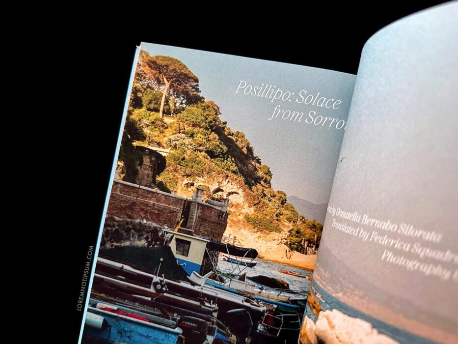 Fare Magazine Issue 15 (Naples) – loremnotipsum.com