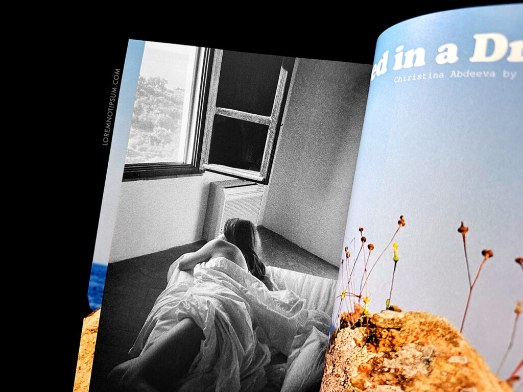 Period Zine Issue 10 – loremnotipsum.com