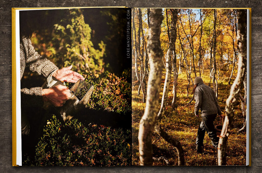 Fare Magazine North Norway – loremnotipsum.com