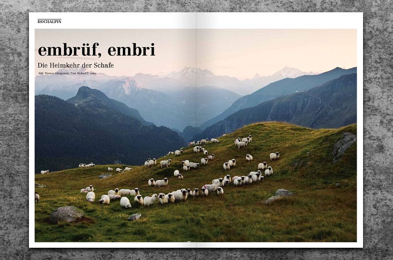 Transhelvetica Nr. 8 – loremnotipsum.com