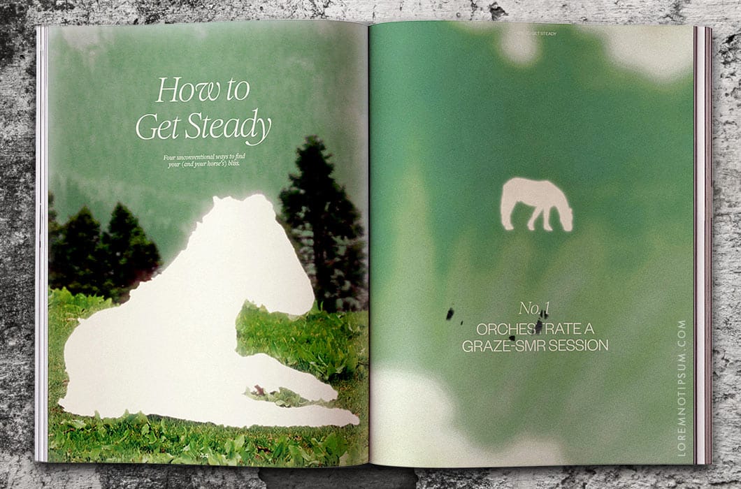 Calling All Horse Girls Magazine Volume 8 – loremnotipsum.com