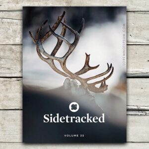 Sidetracked Magazine Volume 35 – loremnotipsum.com