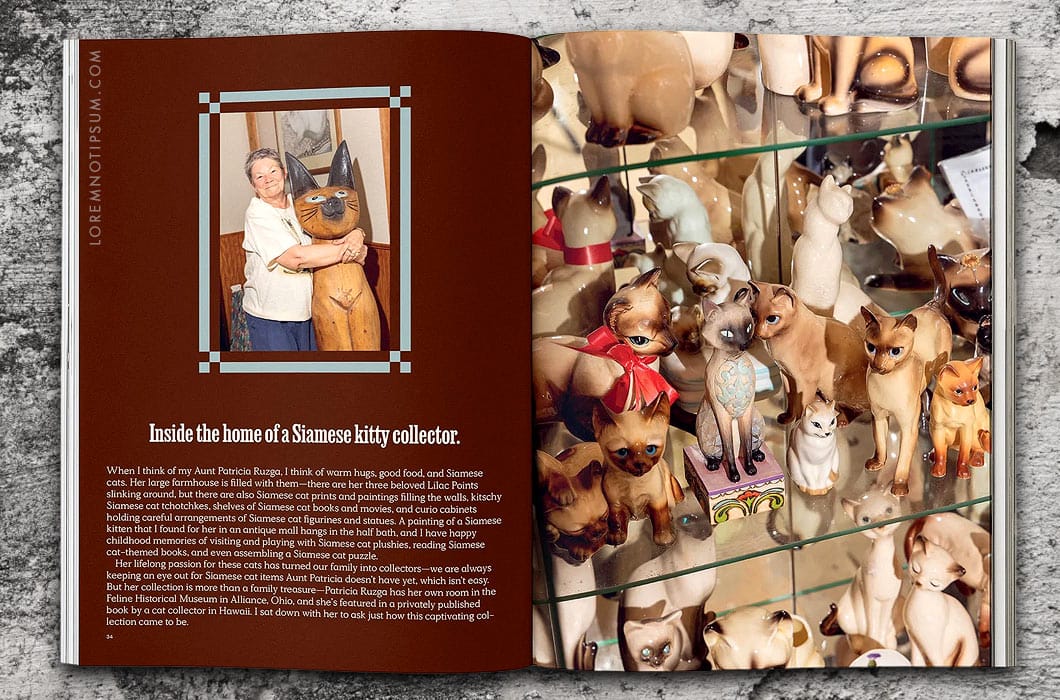Catnip Magazine Volume 2 – loremnotipsum.com