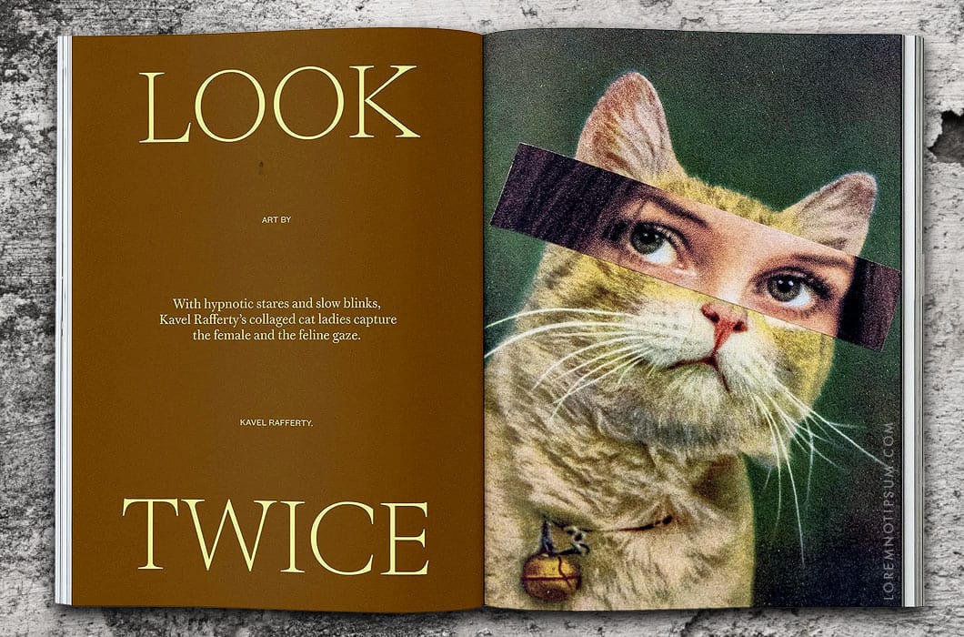 Catnip Magazine Volume 2 – loremnotipsum.com