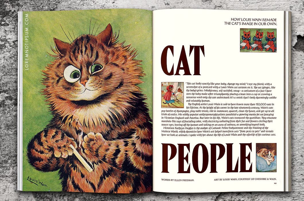 Catnip Magazine Volume 2 – loremnotipsum.com