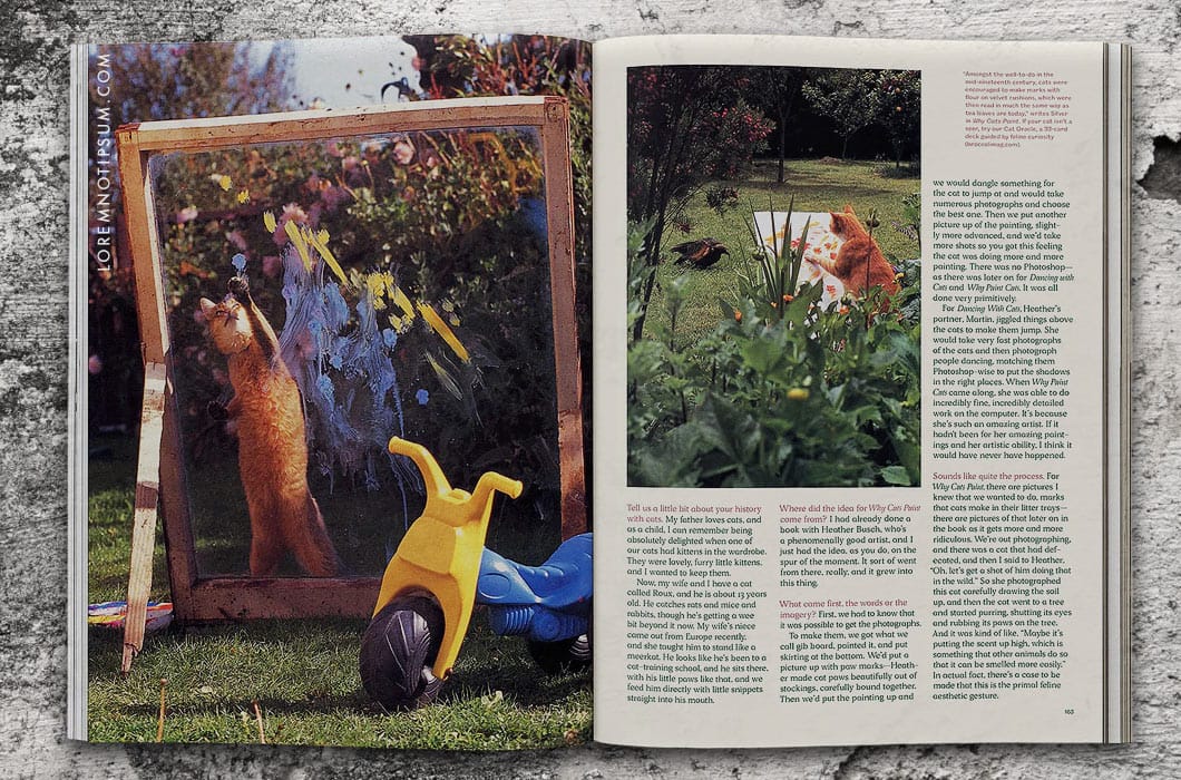 Catnip Magazine Volume 2 – loremnotipsum.com