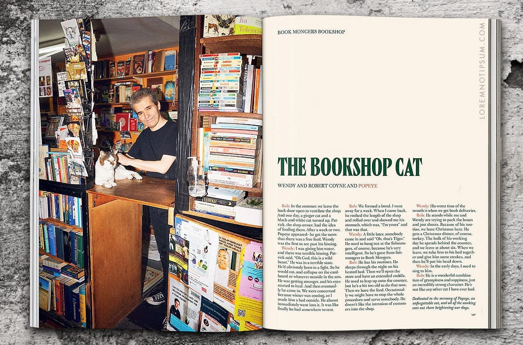 Catnip Magazine Volume 2 – loremnotipsum.com