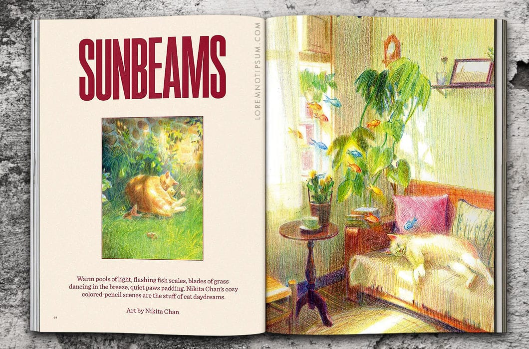 Catnip Magazine Volume 2 – loremnotipsum.com