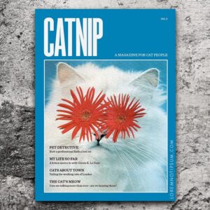 Catnip Magazine Volume 2 – loremnotipsum.com