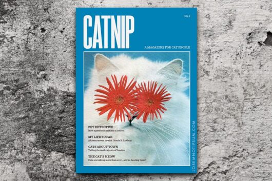 Catnip Magazine Volume 2 – loremnotipsum.com