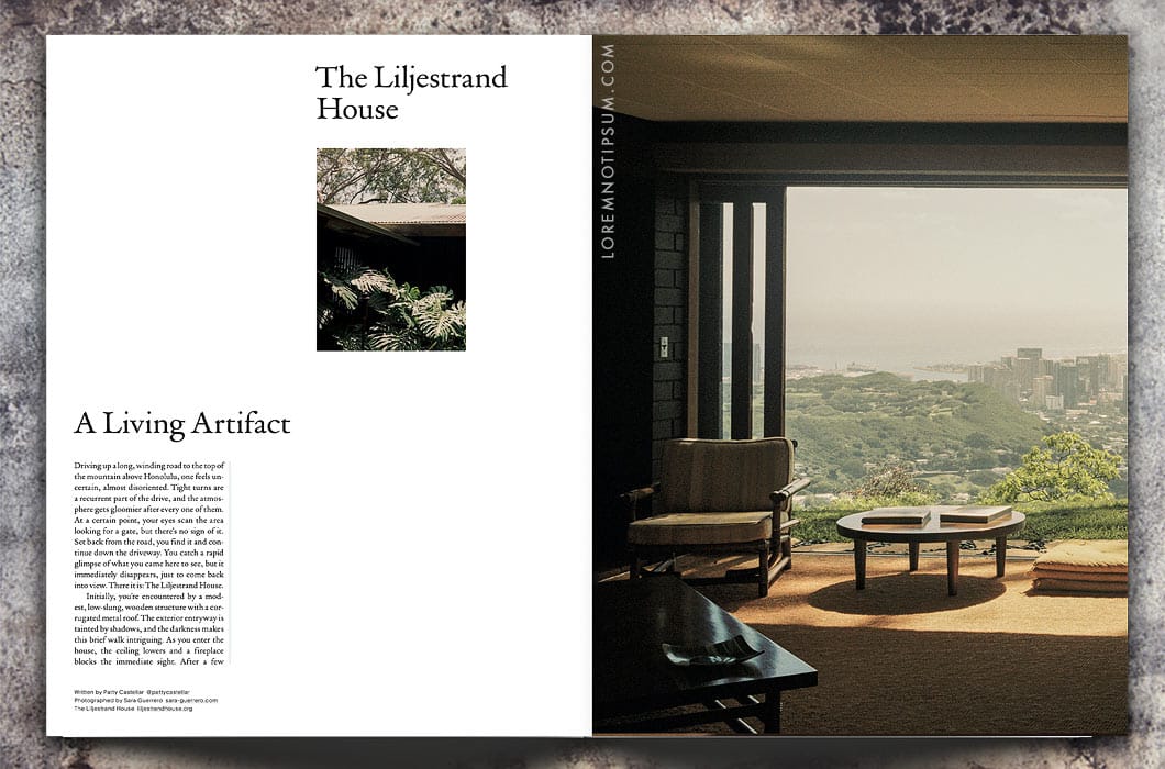 Openhouse Magazine Issue 25 – loremnotipsum.com