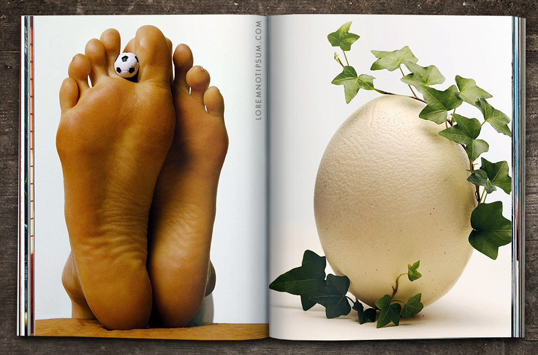 Arxipelag Magazine Volume 3 (the Fun Issue) – loremnotipsum.com